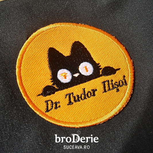 Dr. Tudor Ilisoi