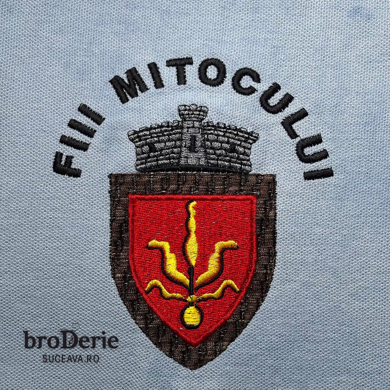 Fiii Mitocului
