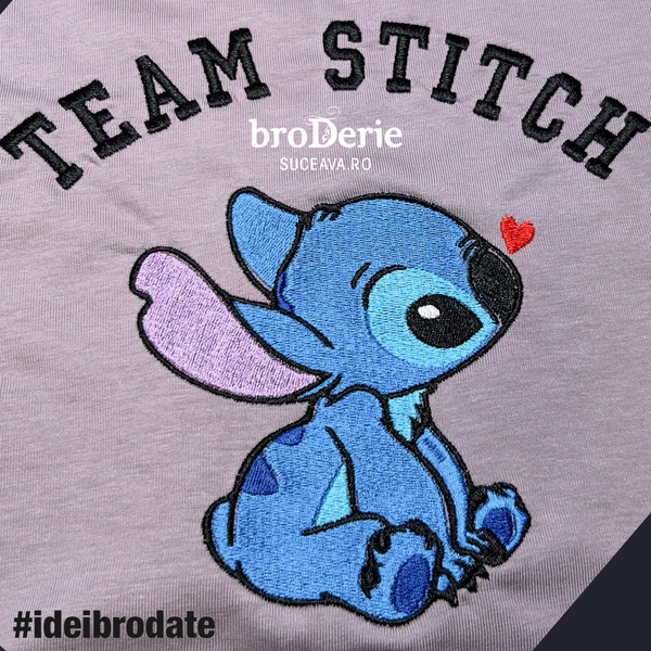 Team Stitch