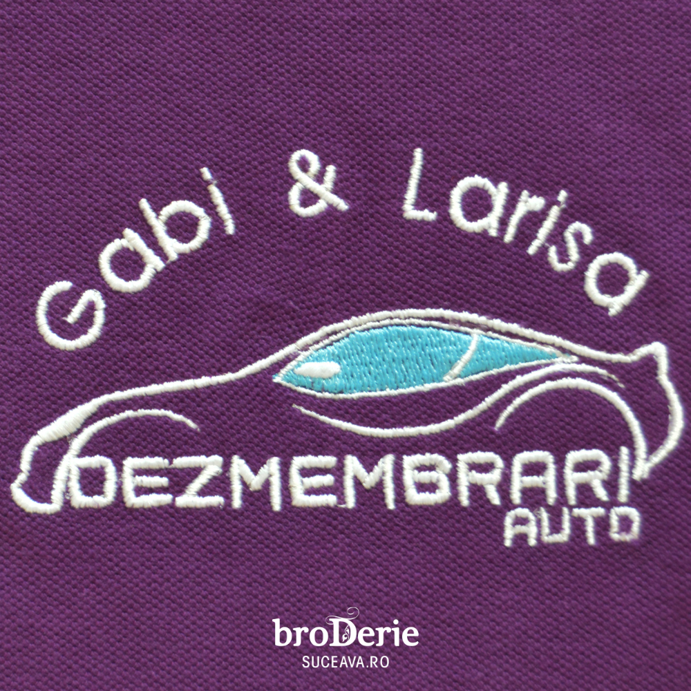 Logo brodat Gabi & Larisa Dezmembrari Auto