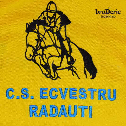 Logo brodat cu C.S. Ecvenstru Radauti