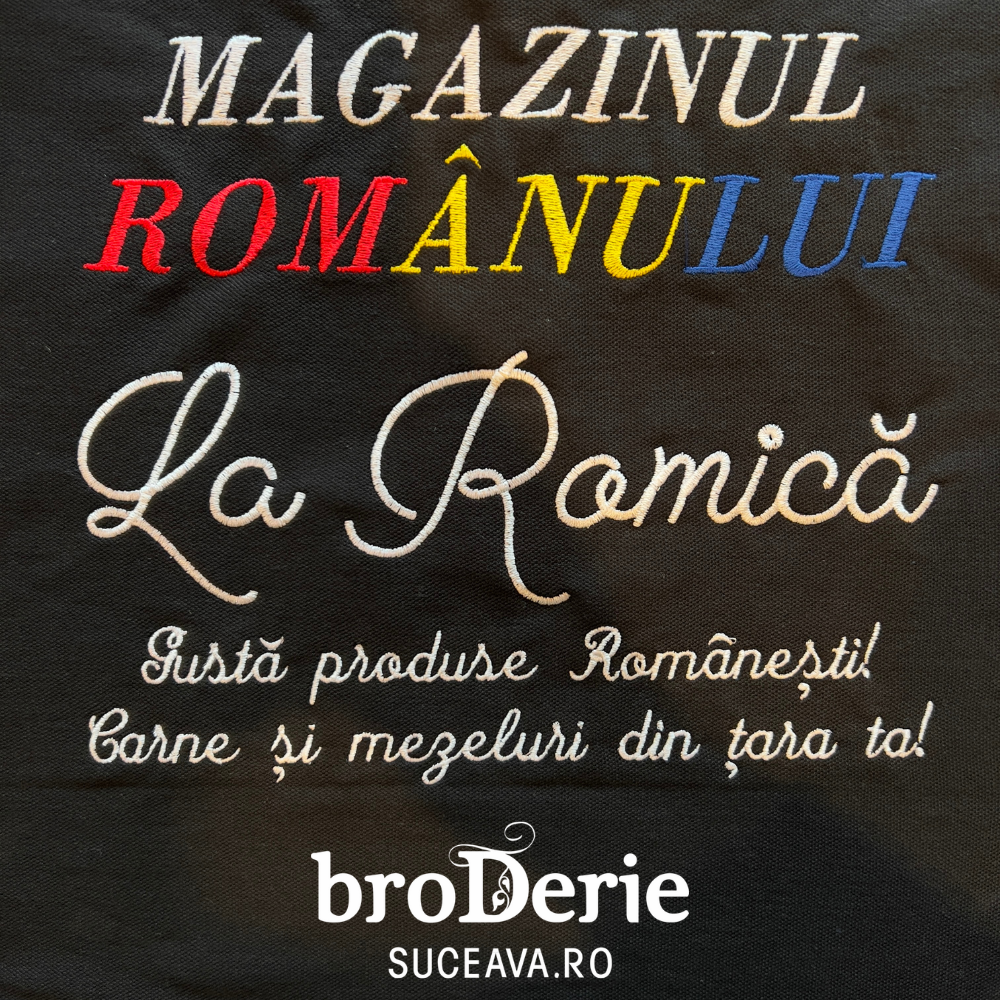 Magazinul romanului La Romica