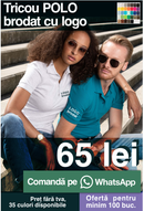 Embroidered POLO shirt with logo